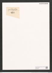 Synedra pulchella var. macrophala Grun. (de-Toni-Nr.: Genus 66, Species 2582) Zeichnungen Sammlung Grunow (NHMW-BOT-W0373483)